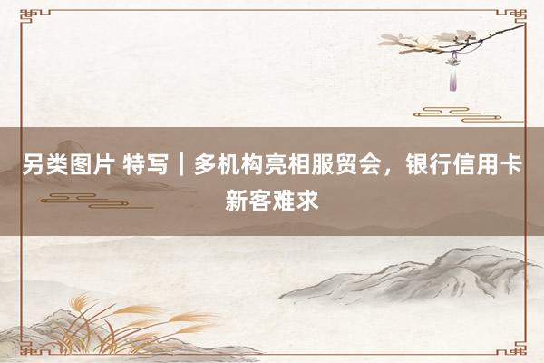 另类图片 特写｜多机构亮相服贸会，银行信用卡新客难求