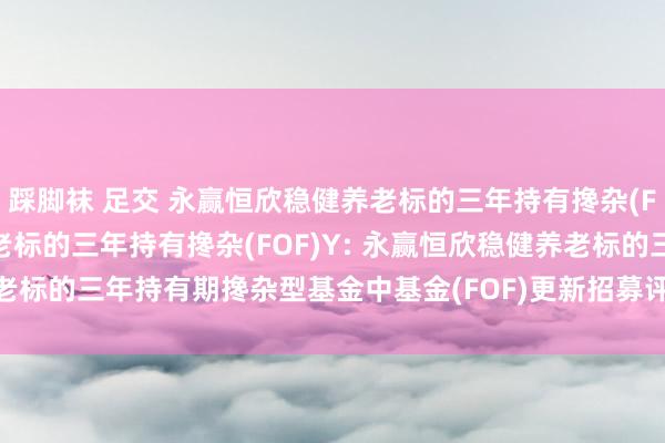 踩脚袜 足交 永赢恒欣稳健养老标的三年持有搀杂(FOF)A,永赢恒欣稳健养老标的三年持有搀杂(FOF)Y: 永赢恒欣稳健养老标的三年持有期搀杂型基金中基金(FOF)更新招募评释书(2024年第2号)