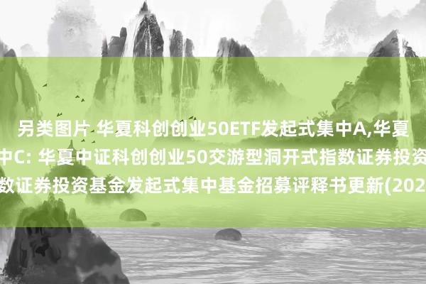 另类图片 华夏科创创业50ETF发起式集中A,华夏科创创业50ETF发起式集中C: 华夏中证科创创业50交游型洞开式指数证券投资基金发起式集中基金招募评释书更新(2024年10月16日公告)