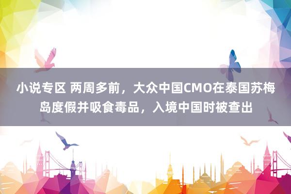 小说专区 两周多前，大众中国CMO在泰国苏梅岛度假并吸食毒品，入境中国时被查出