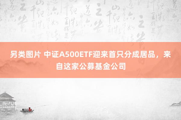 另类图片 中证A500ETF迎来首只分成居品，来自这家公募基金公司