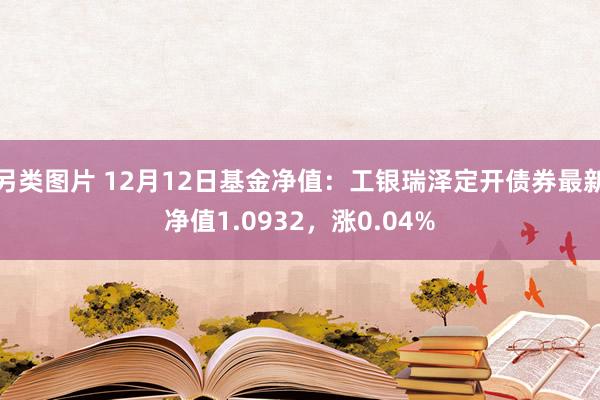 另类图片 12月12日基金净值：工银瑞泽定开债券最新净值1.0932，涨0.04%