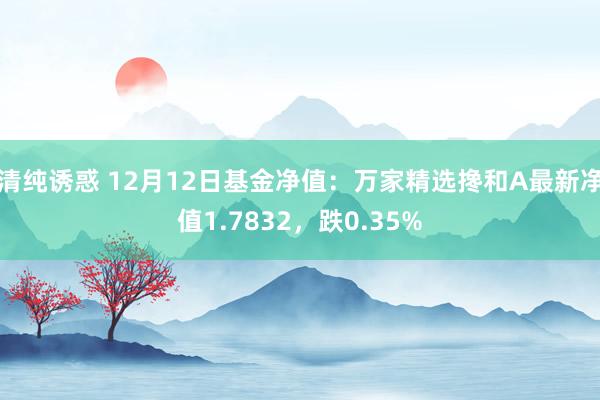 清纯诱惑 12月12日基金净值：万家精选搀和A最新净值1.7832，跌0.35%