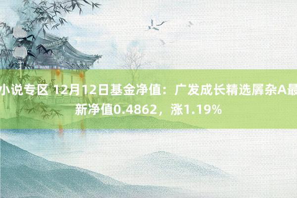 小说专区 12月12日基金净值：广发成长精选羼杂A最新净值0.4862，涨1.19%