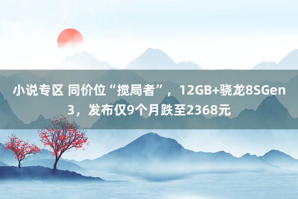 小说专区 同价位“搅局者”，12GB+骁龙8SGen3，发布仅9个月跌至2368元