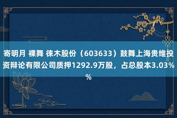 寄明月 裸舞 徕木股份（603633）鼓舞上海贵维投资辩论有限公司质押1292.9万股，占总股本3.03%