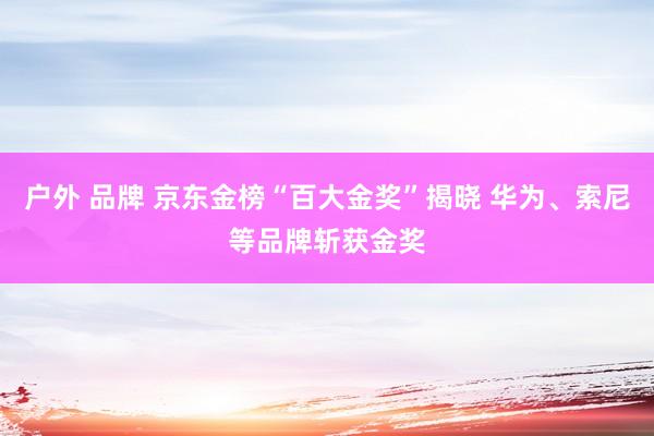 户外 品牌 京东金榜“百大金奖”揭晓 华为、索尼等品牌斩获金奖