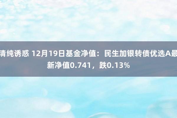 清纯诱惑 12月19日基金净值：民生加银转债优选A最新净值0.741，跌0.13%