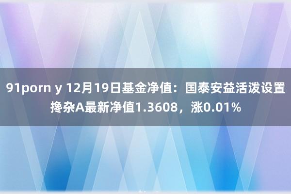 91porn y 12月19日基金净值：国泰安益活泼设置搀杂A最新净值1.3608，涨0.01%