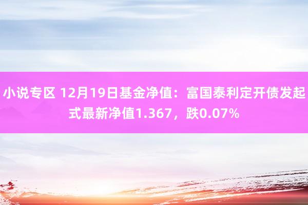 小说专区 12月19日基金净值：富国泰利定开债发起式最新净值1.367，跌0.07%