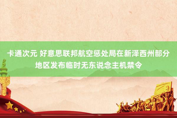 卡通次元 好意思联邦航空惩处局在新泽西州部分地区发布临时无东说念主机禁令