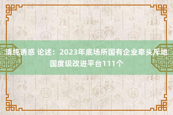 清纯诱惑 论述：2023年底场所国有企业牵头斥地国度级改进平台111个