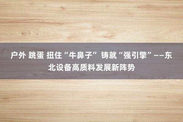 户外 跳蛋 扭住“牛鼻子” 铸就“强引擎”——东北设备高质料发展新阵势