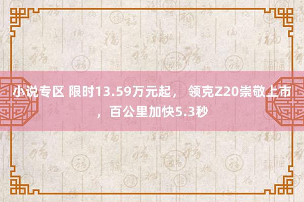 小说专区 限时13.59万元起， 领克Z20崇敬上市，百公里加快5.3秒