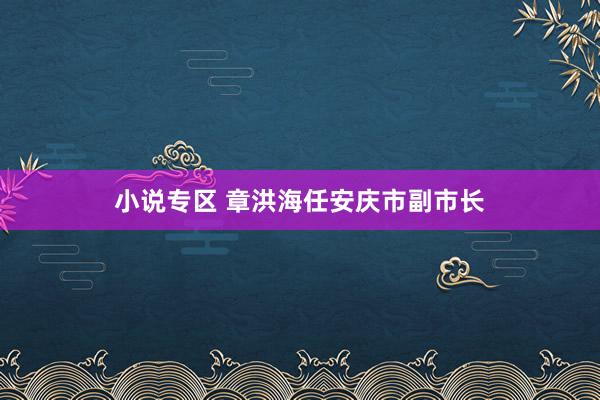 小说专区 章洪海任安庆市副市长