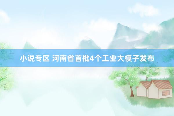小说专区 河南省首批4个工业大模子发布