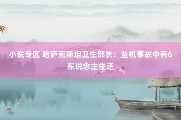 小说专区 哈萨克斯坦卫生部长：坠机事故中有6东说念主生还