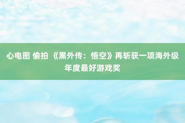 心电图 偷拍 《黑外传：悟空》再斩获一项海外级年度最好游戏奖