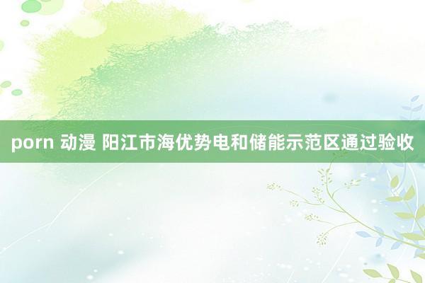 porn 动漫 阳江市海优势电和储能示范区通过验收