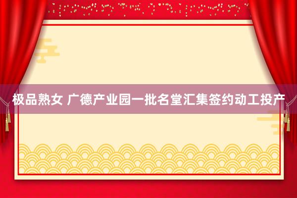 极品熟女 广德产业园一批名堂汇集签约动工投产