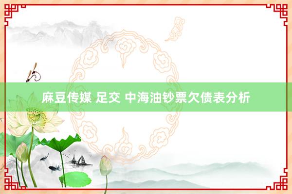 麻豆传媒 足交 中海油钞票欠债表分析