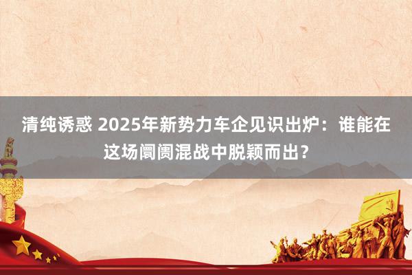 清纯诱惑 2025年新势力车企见识出炉：谁能在这场阛阓混战中脱颖而出？