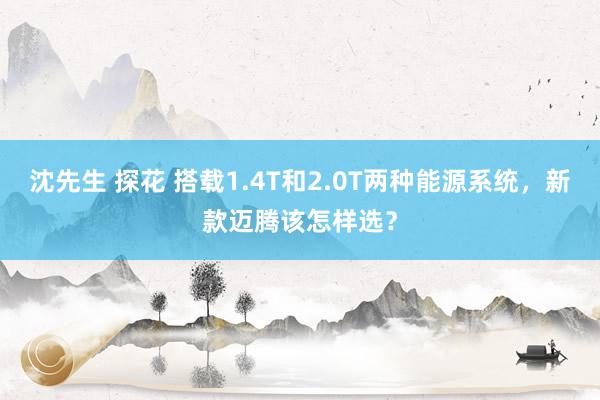 沈先生 探花 搭载1.4T和2.0T两种能源系统，新款迈腾该怎样选？
