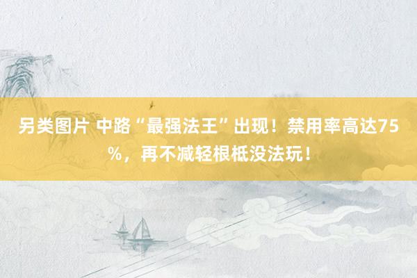另类图片 中路“最强法王”出现！禁用率高达75%，再不减轻根柢没法玩！