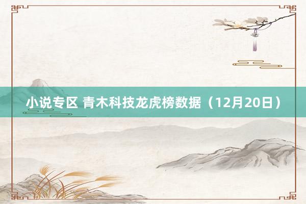 小说专区 青木科技龙虎榜数据（12月20日）