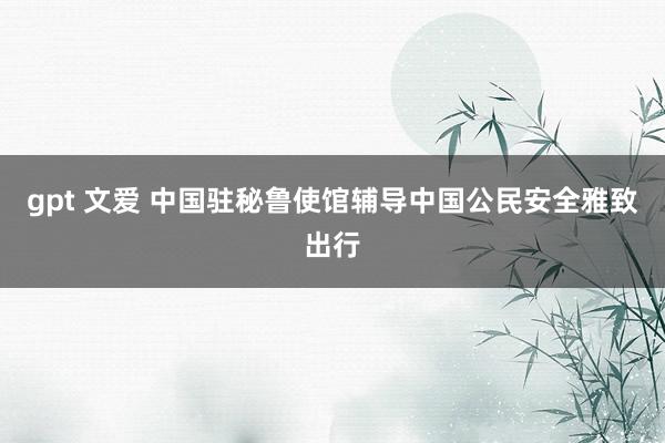 gpt 文爱 中国驻秘鲁使馆辅导中国公民安全雅致出行
