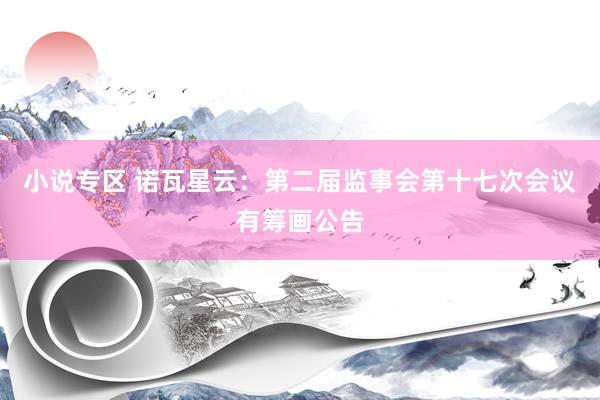 小说专区 诺瓦星云：第二届监事会第十七次会议有筹画公告