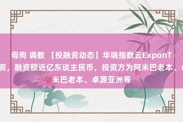 母狗 调教 【投融资动态】华瑞指数云ExponTechA轮融资，融资额近亿东谈主民币，投资方为阿米巴老本、卓源亚洲等