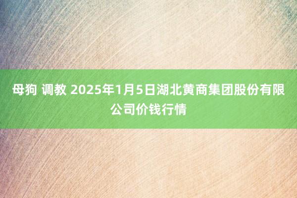 母狗 调教 2025年1月5日湖北黄商集团股份有限公司价钱行情