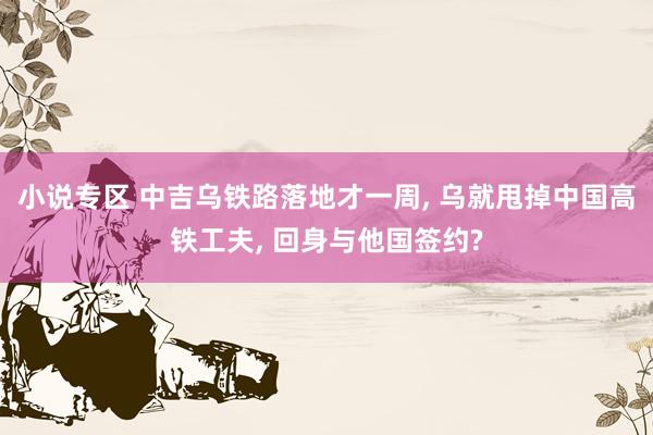 小说专区 中吉乌铁路落地才一周， 乌就甩掉中国高铁工夫， 回身与他国签约?