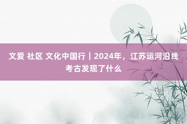 文爱 社区 文化中国行｜2024年，江苏运河沿线考古发现了什么
