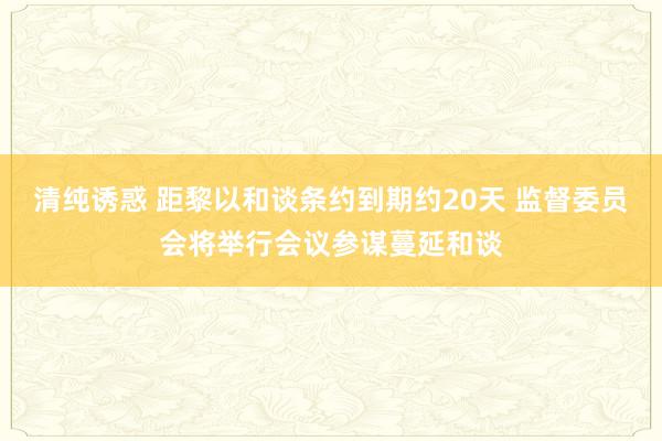 清纯诱惑 距黎以和谈条约到期约20天 监督委员会将举行会议参谋蔓延和谈