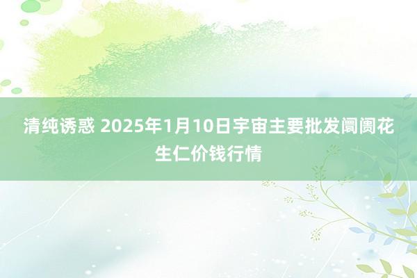 清纯诱惑 2025年1月10日宇宙主要批发阛阓花生仁价钱行情