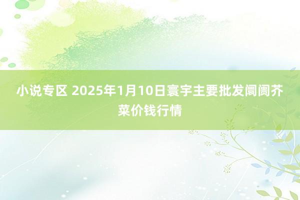 小说专区 2025年1月10日寰宇主要批发阛阓芥菜价钱行情