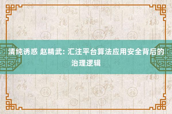 清纯诱惑 赵精武: 汇注平台算法应用安全背后的治理逻辑