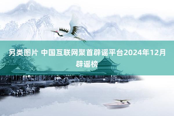 另类图片 中国互联网聚首辟谣平台2024年12月辟谣榜