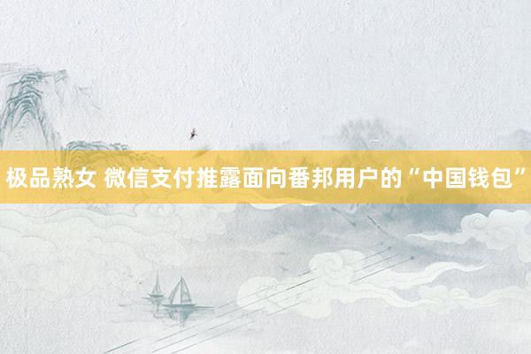 极品熟女 微信支付推露面向番邦用户的“中国钱包”