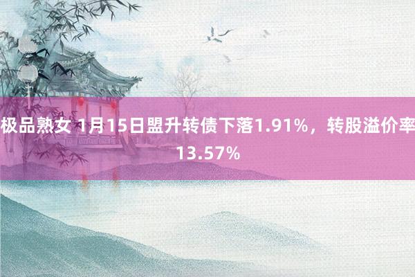 极品熟女 1月15日盟升转债下落1.91%，转股溢价率13.57%