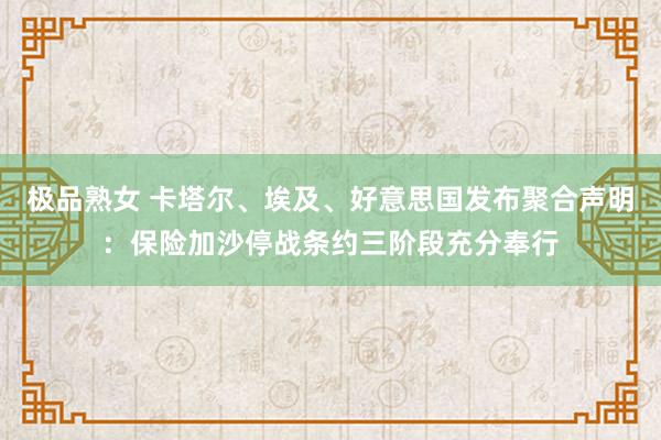 极品熟女 卡塔尔、埃及、好意思国发布聚合声明：保险加沙停战条约三阶段充分奉行