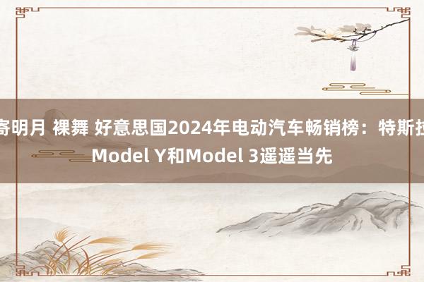 寄明月 裸舞 好意思国2024年电动汽车畅销榜：特斯拉Model Y和Model 3遥遥当先