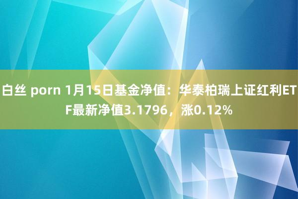 白丝 porn 1月15日基金净值：华泰柏瑞上证红利ETF最新净值3.1796，涨0.12%