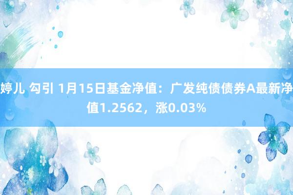 婷儿 勾引 1月15日基金净值：广发纯债债券A最新净值1.2562，涨0.03%