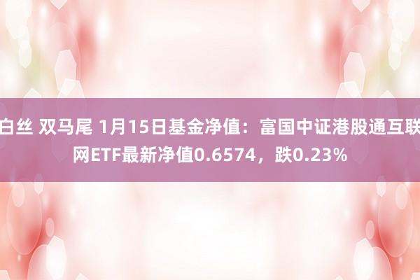 白丝 双马尾 1月15日基金净值：富国中证港股通互联网ETF最新净值0.6574，跌0.23%