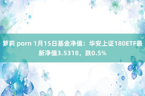 萝莉 porn 1月15日基金净值：华安上证180ETF最新净值3.5318，跌0.5%
