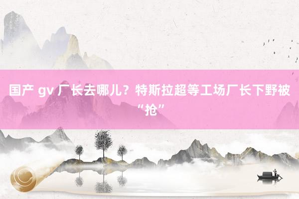 国产 gv 厂长去哪儿？特斯拉超等工场厂长下野被“抢”