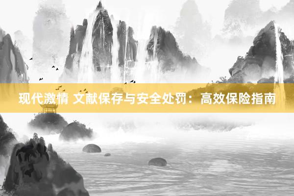 现代激情 文献保存与安全处罚：高效保险指南